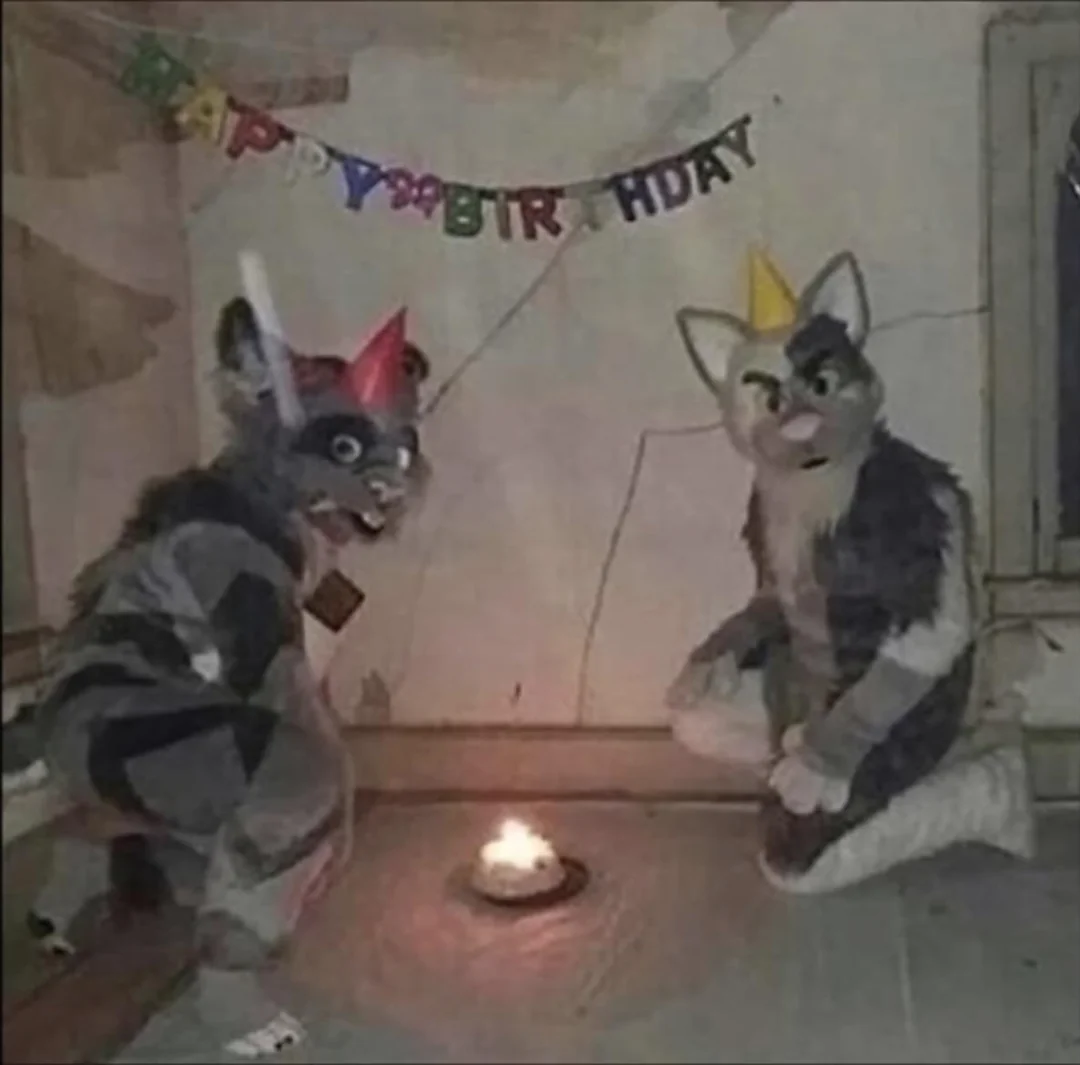 two costumed cats celebrating a birthday with a single small candle